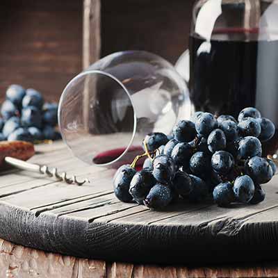 Lomat viinin maistelua Langhe