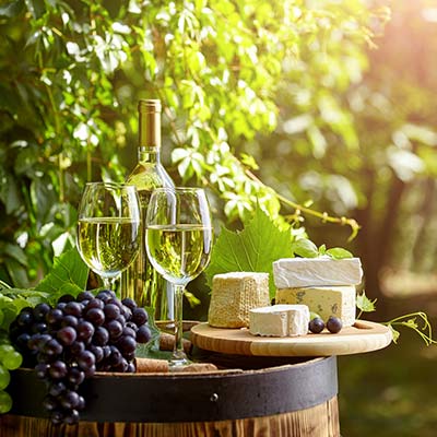 Lomat Toscanan maalaistalossa: viinitarhat